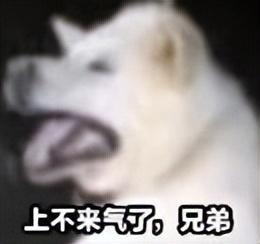 200W7500mAh小米这新机卖1899？太炸了(图11)